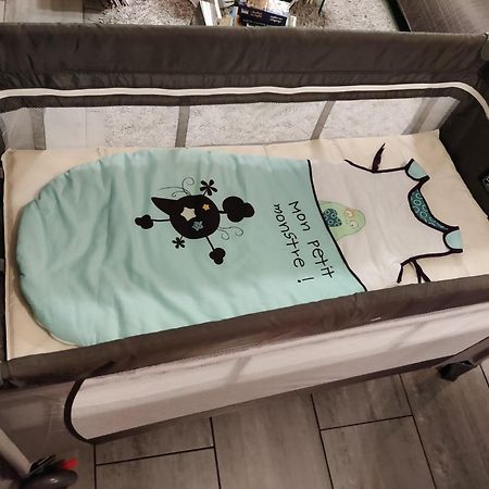 Appartement Cosy Sausheim Ngoại thất bức ảnh